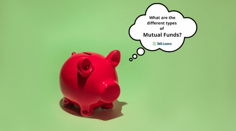 A common household piggy bank for savings thinking about the different types of Mutual Funds.
