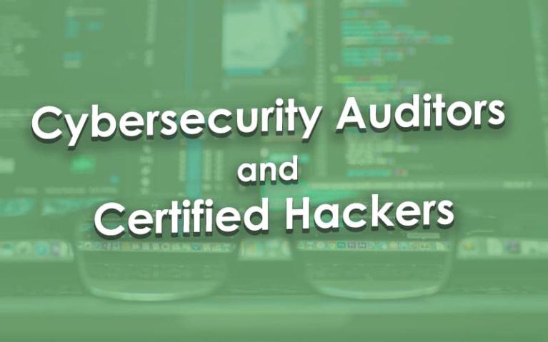 Cybersecurity Auditors and Certified Hackers.