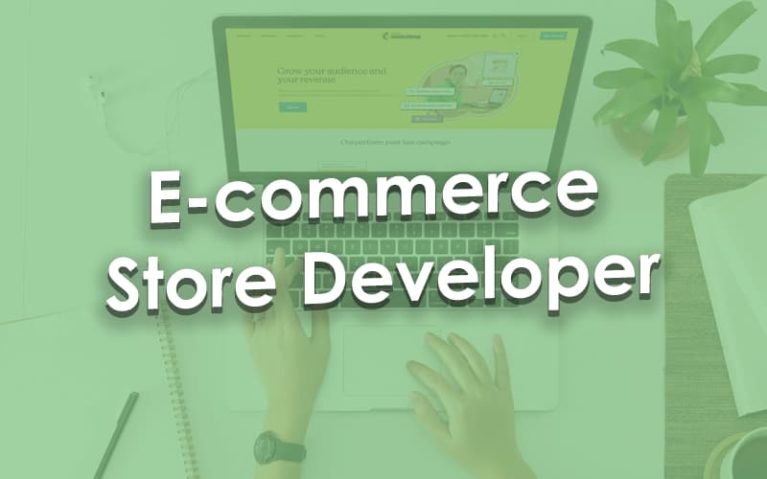 E-commerce Store Developer workstation.
