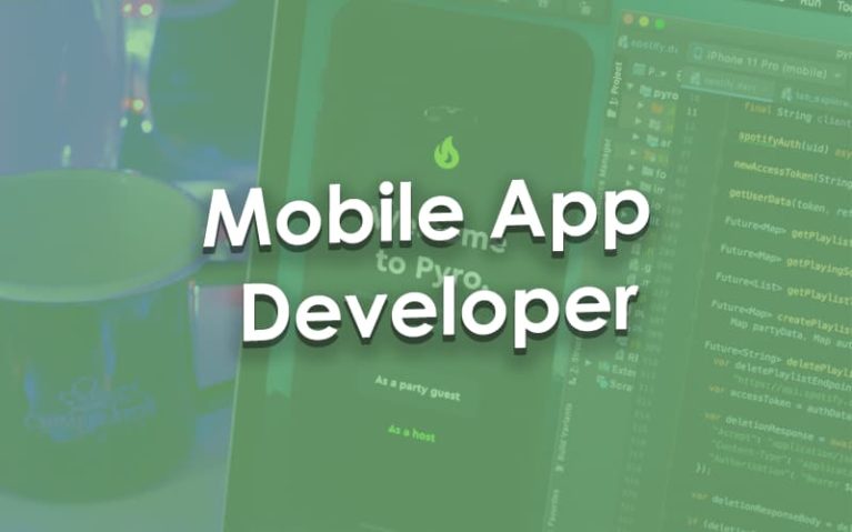 Mobile App Developer workstation.