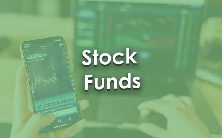 Stock Funds price fluctuations.