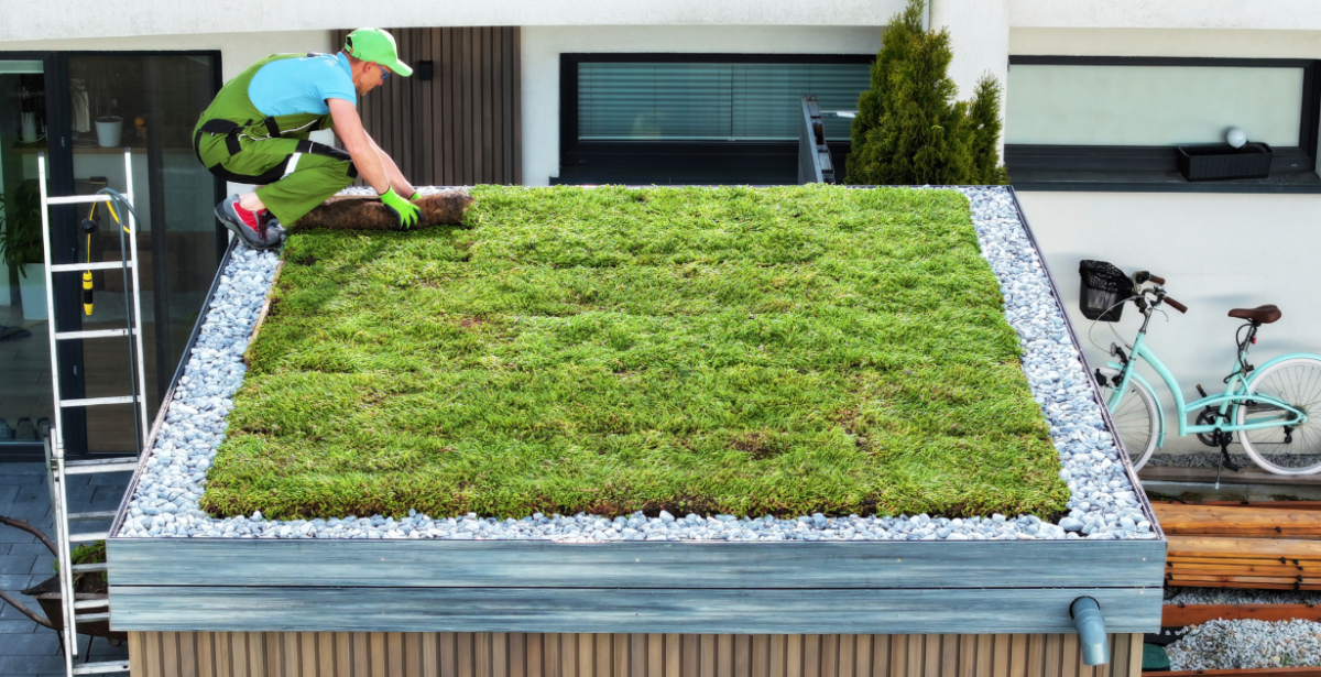 Flat sod rooftop installation - Blue green roof example
