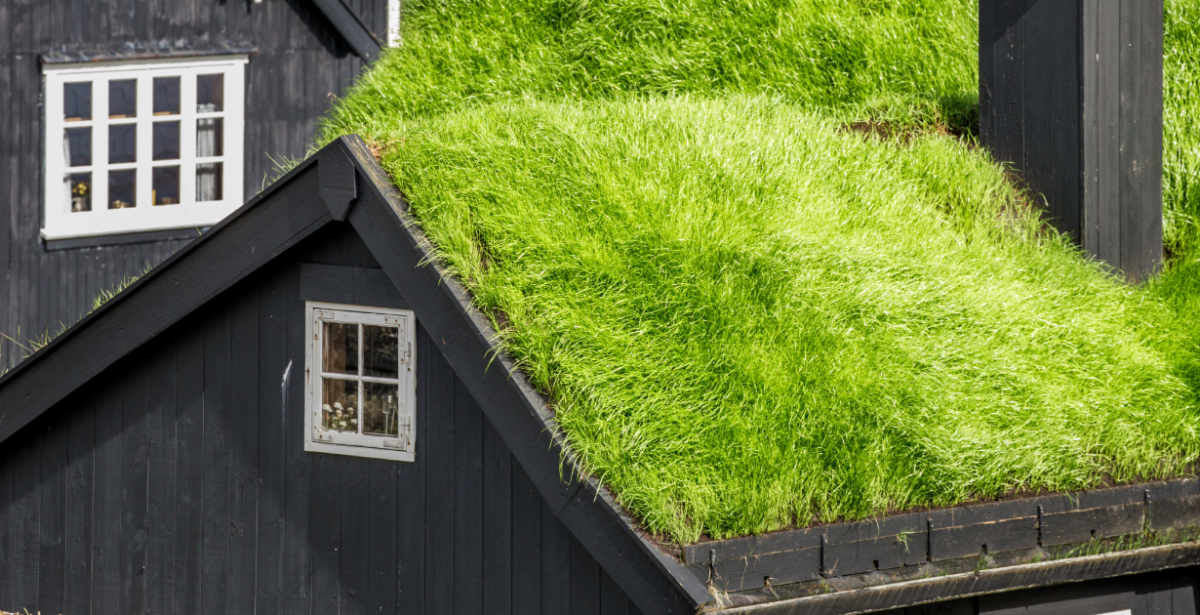 Scandinavian turf rooftop - extensive green roof example