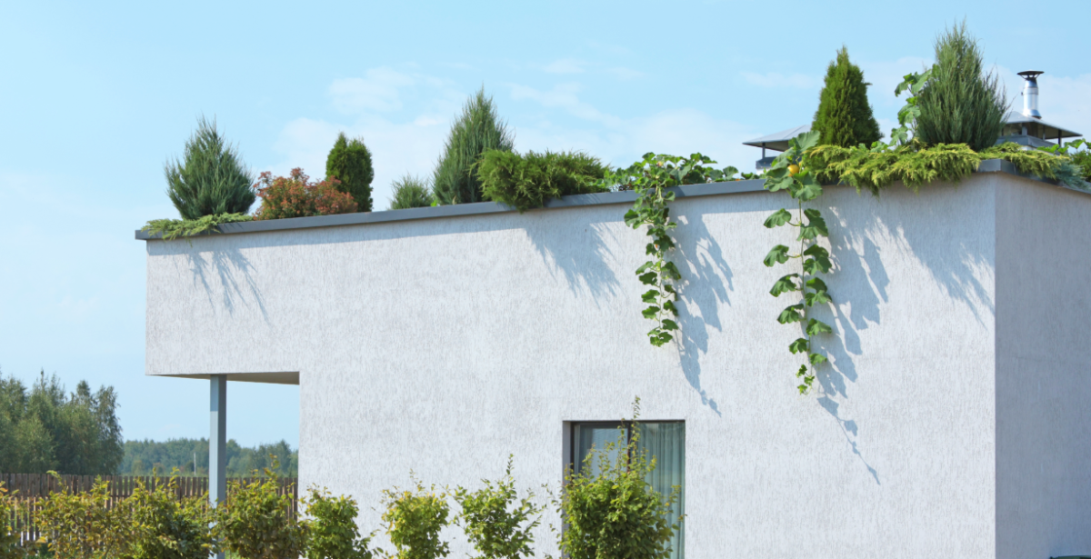 House with a garden rooftop - intensive green roof example