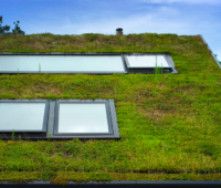 Green rooftop