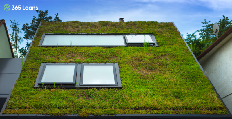 Green rooftop